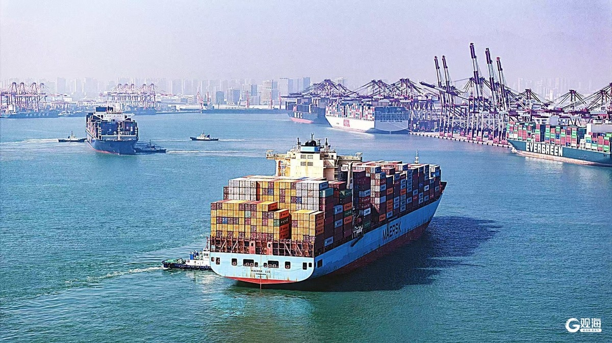 新春走基层丨全员、全时、全速力！山东港口青岛港开启节日生产“加速度”